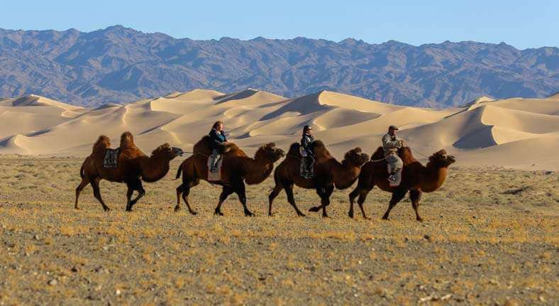 gobi desert and eagle festival tour