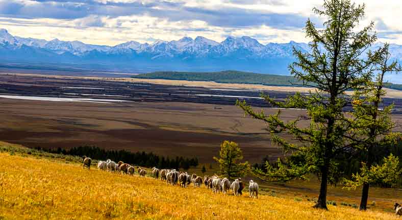 Northern Mongolia
