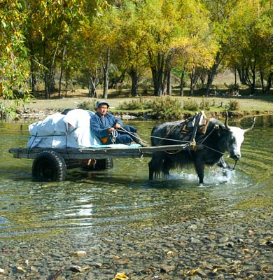 Mongolia travel