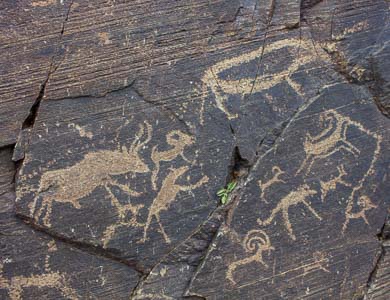 Khoid Tsenkher cave rock drawing