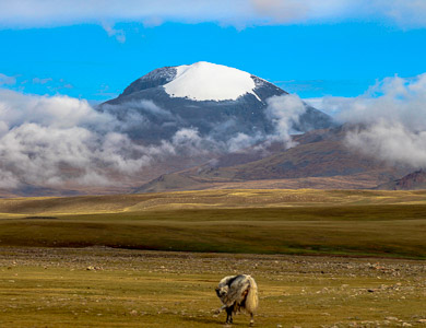 Otgontenger Mountain